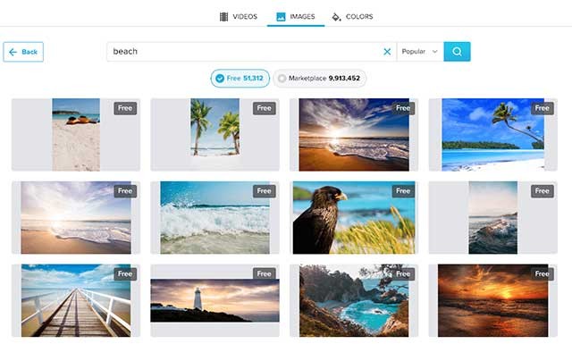 Wave.video cho phép bạn truy cập vào 300 triệu video, hình ảnh và clip âm thanh