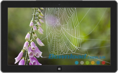 Webs & Waterdrops theme