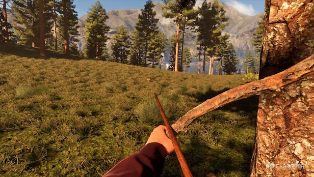 Trải nghiệm một mình hoặc hợp tác cùng bạn bè