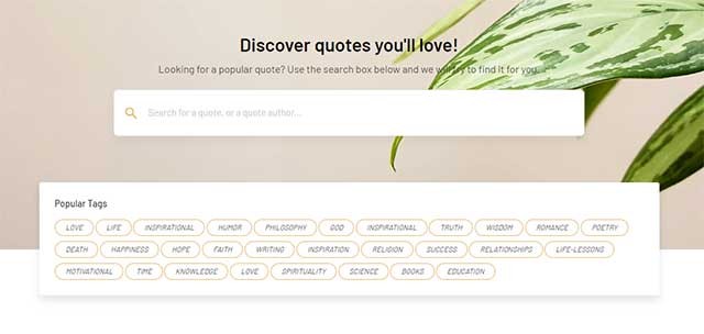 Ngoài tìm sách, bạn cũng có thể tìm các trích dẫn mà mình tâm đắc trong sách