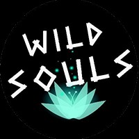 Wild Souls Demo - Game Sinh Tồn Giống Don't Starve
