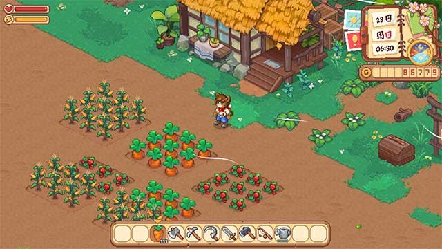 Trồng trọt và chăn nuôi để phát triển trang trại của bạn