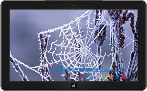 Wintry Webs theme