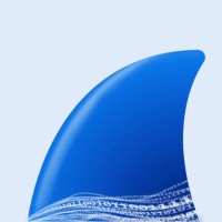 Wireshark 4.6.2 for Mac: Network Protocol Analyzer