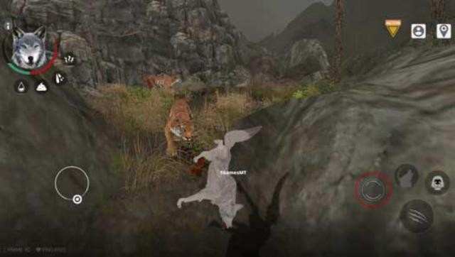 Săn mồi và chiến đấu với các động vật hung dữ