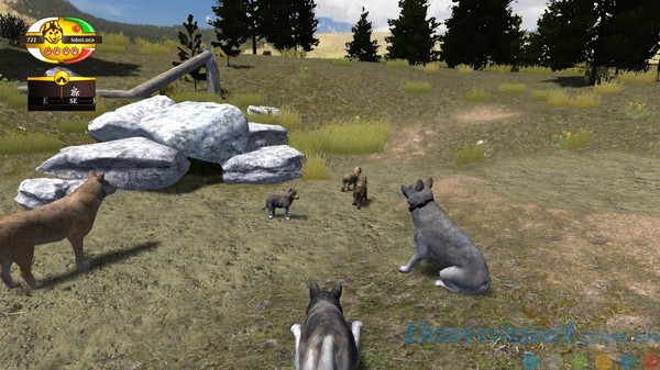 Nuôi sói con trong WolfQuest