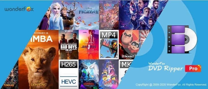 WonderFox DVD Ripper Pro 13