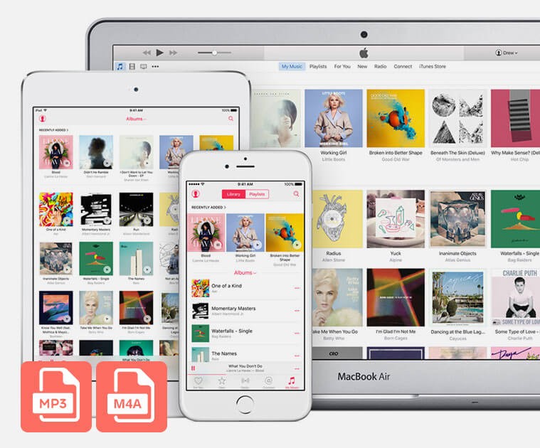 Wondershare AllMyTube lưu và chuyển đổi video