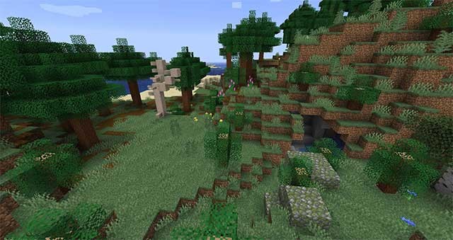 Khám phá rừng thông và đầm lầy thông với môi trường tuyệt đẹp