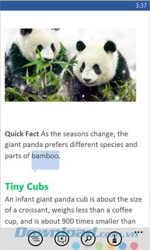 Tính năng tìm kiếm theo từ