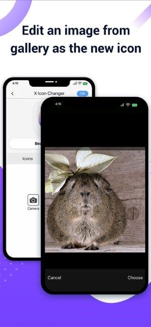 X Icon Changer 3*371504