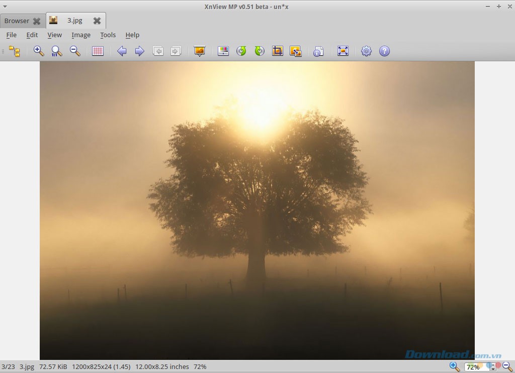 Xem trước hình ảnh
