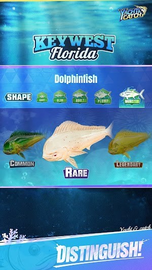 Hơn 300 loài cá hiếm khác nhau