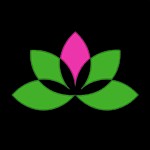 Yoga Studio - Học Yoga, Thiền Tại Nhà