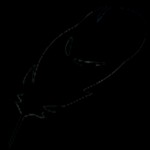 Zazu cho Mac 0.3.2: Launcher mã nguồn mở tốt nhất