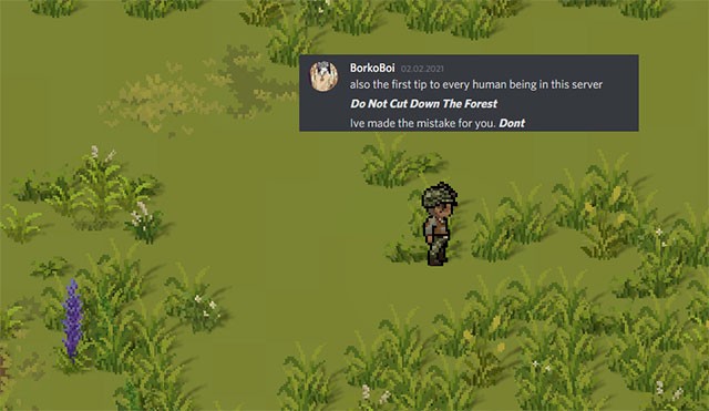 Đừng chặt cây mà chỉ nhặt cành cây gãy dưới đất