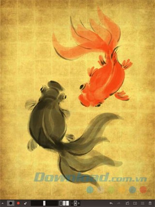 Lựa chọn đa dạng các loại mực