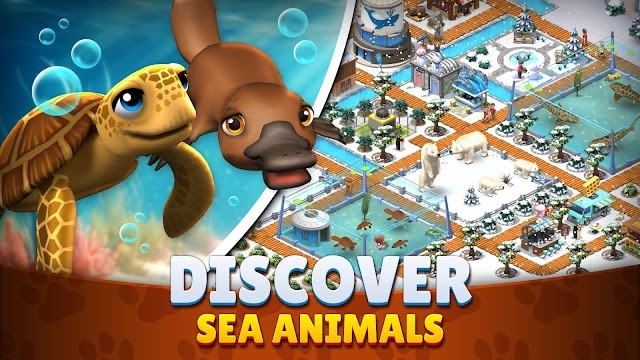 Khám phá các loài động vật biển