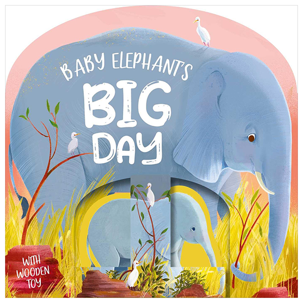 baby elephant's big day