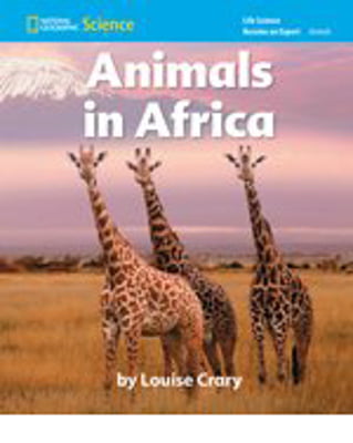 become an expert animals in africa