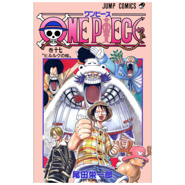 bộ one piece 17