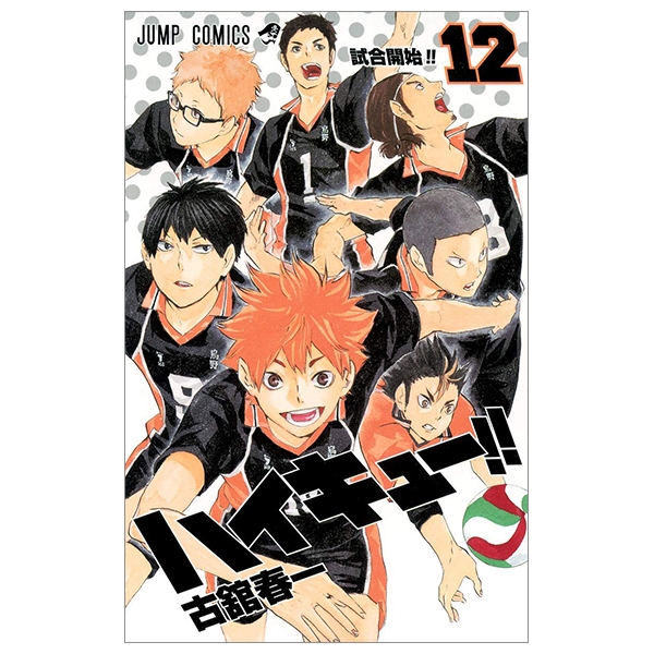 bộ ハイキュー!! 12 - haikyu!! 12