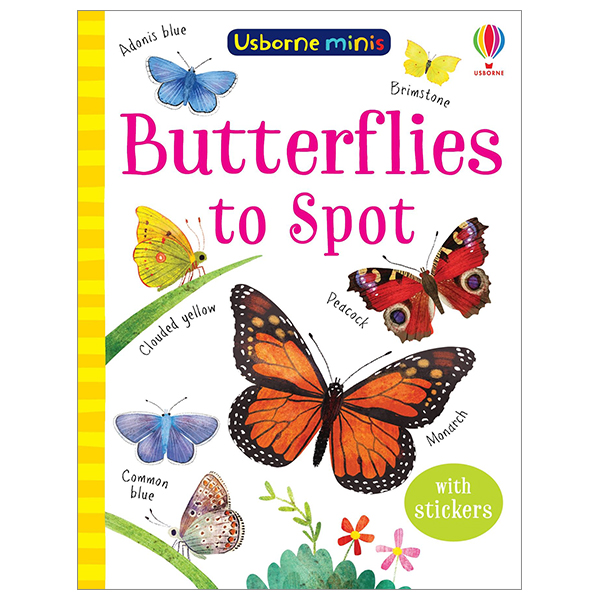 butterflies to spot