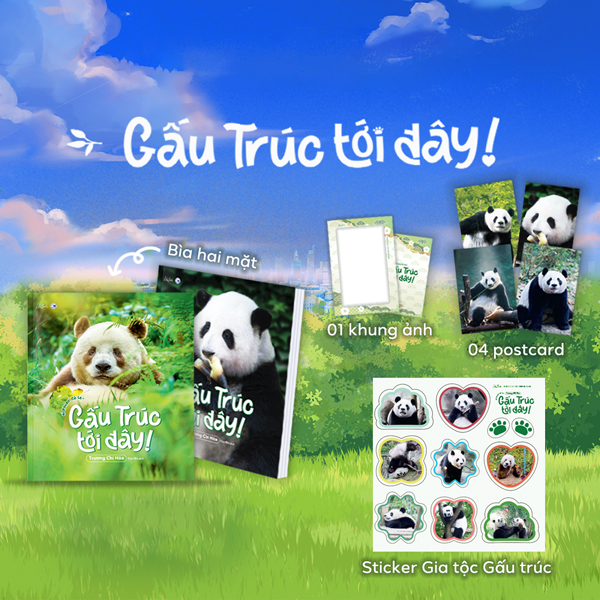 gấu trúc tới đây! - hi panda! cò le~ - tặng kèm 1 khung ảnh + 4 postcard hai mặt + 1 sticker gia tộc gấu trúc