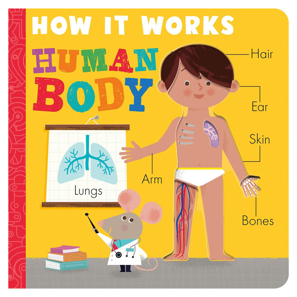 how it works: human body