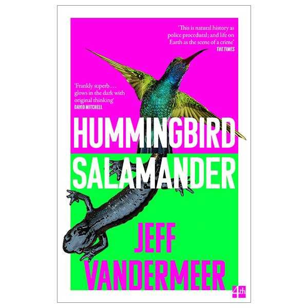 hummingbird salamander