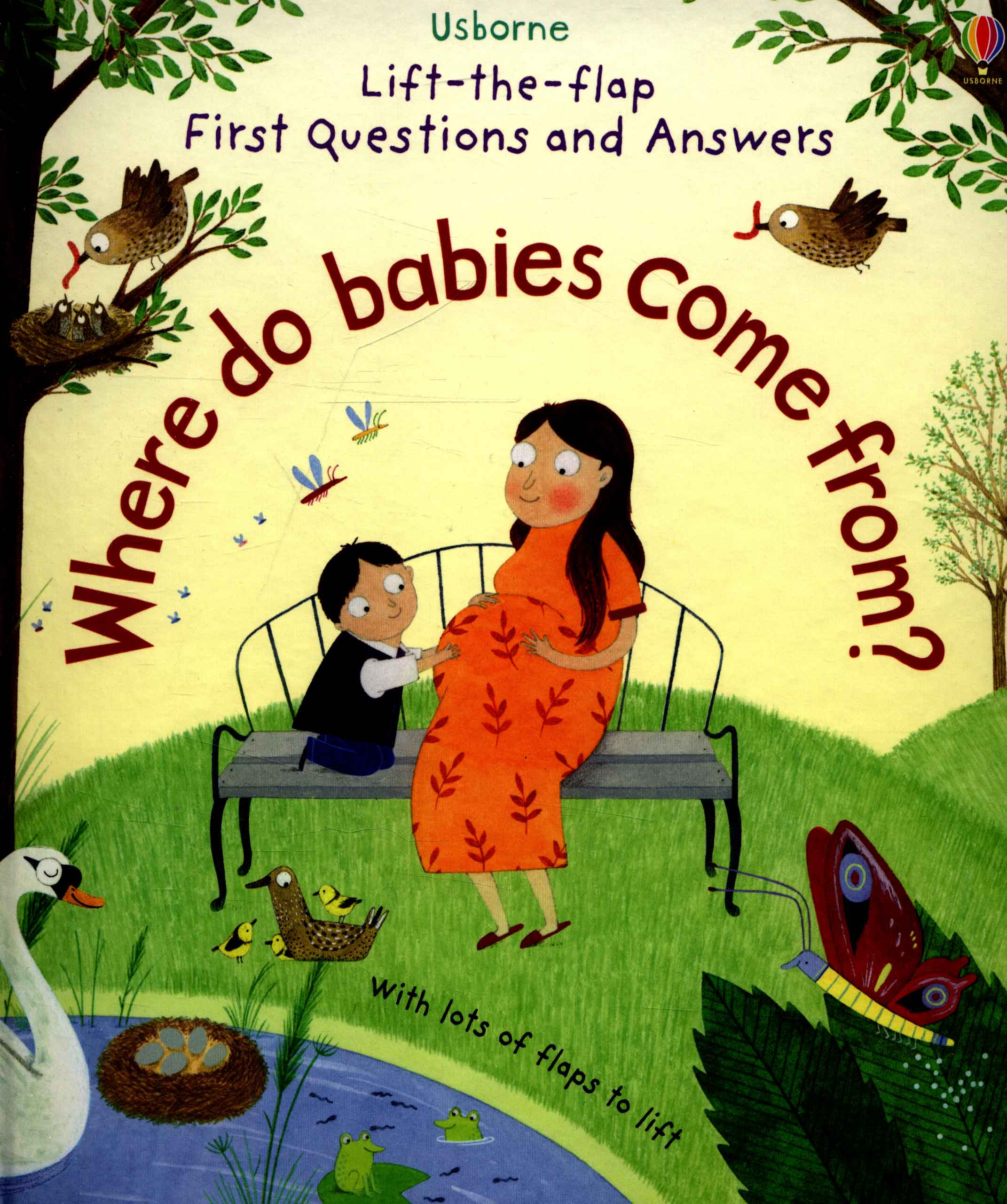 lift-the-flap first questions and answers where do babies come from?