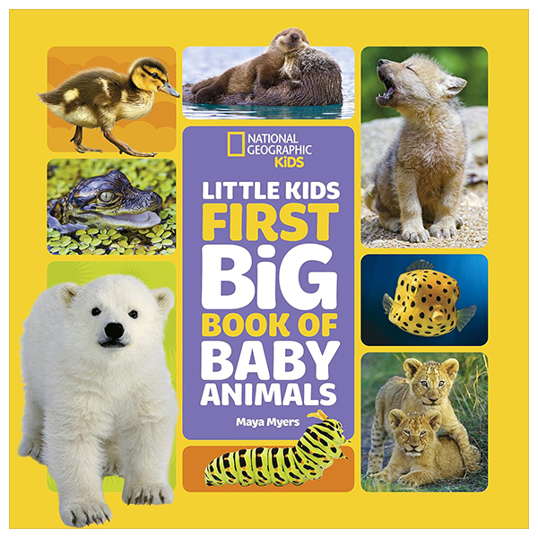 national geographic little kids first big book of baby animals