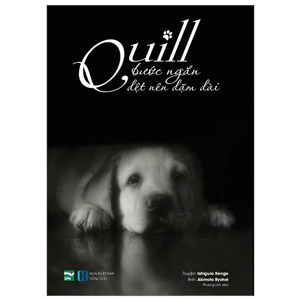 quill - bước ngắn dệt nên dặm dài