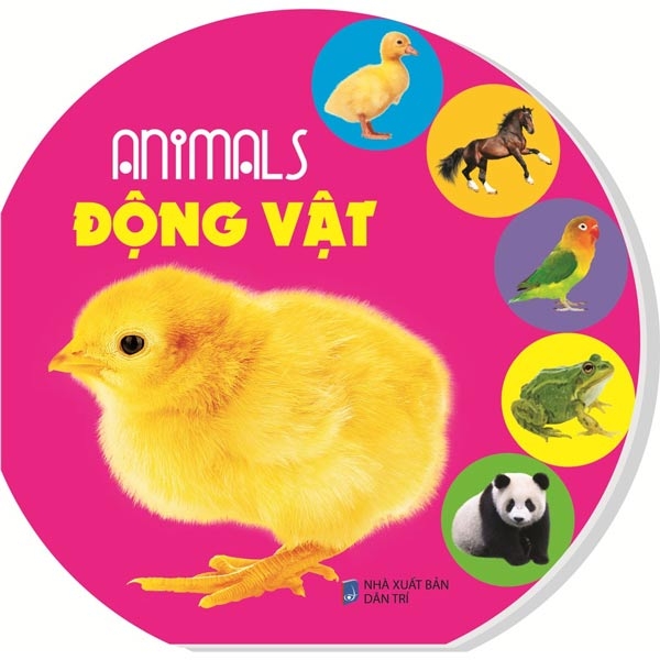 sách lật mở: animal - động vật