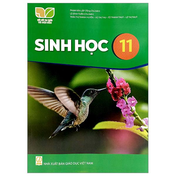 sinh học 11 (kết nối tri thức) (chuẩn)