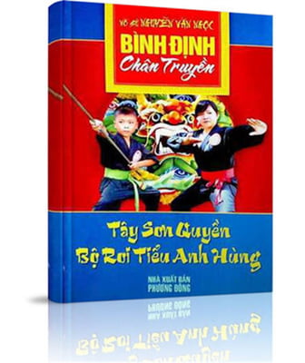 tây sơn quyền bộ roi tiểu anh hùng