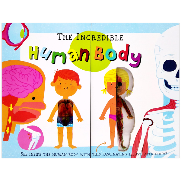 the incredible human body - my first human body book - new version