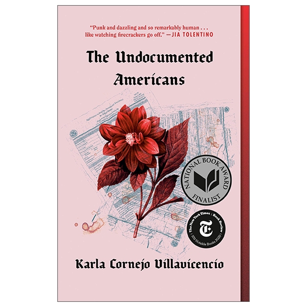 the undocumented americans