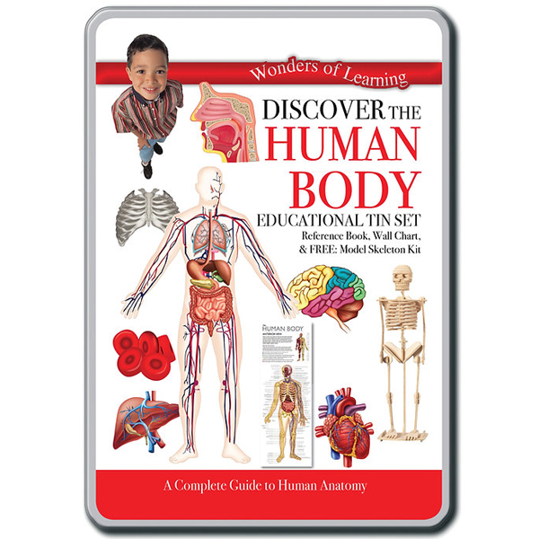 tin set - discover the human body