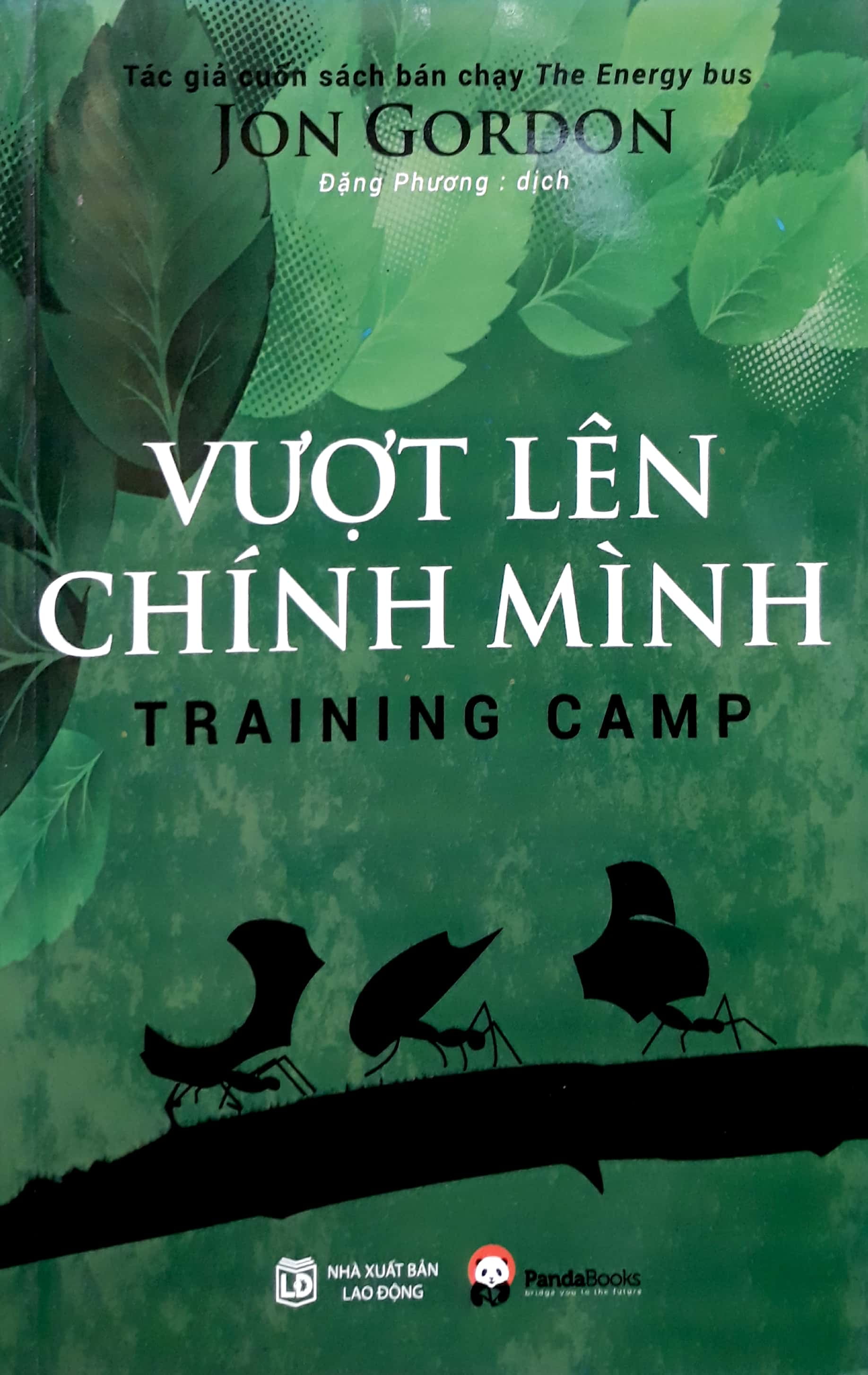 vượt lên chính mình