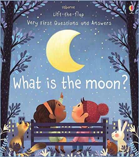 what is the moon? (very first lift-the-flap questions & answers)