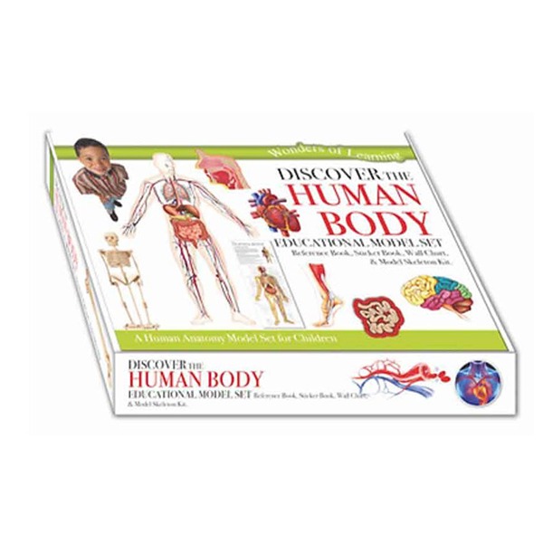 wonders of learning - educational model set - discover the human body