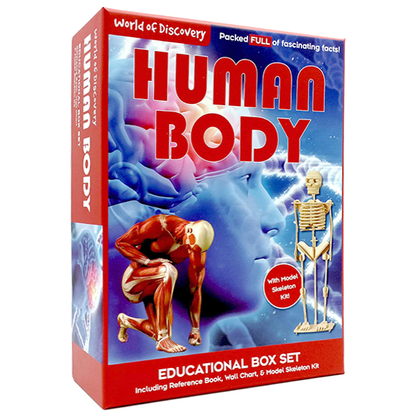 world of discovery: human body